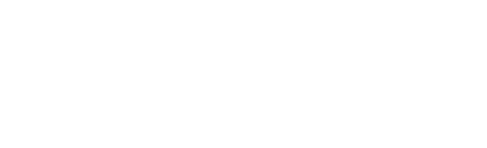 Digital Software